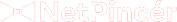 NetPincér